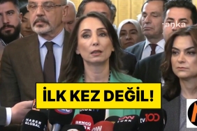 dem-parti-es-lideri-tulay-hatimogullari-devlet-yerine-yeniden-abdullah-bahceli-dedi-kVBUVeE9.jpg