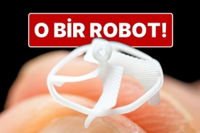 dunyanin-en-kucuk-kablosuz-ucan-robotu-uretildi-URmS9k3U.jpg