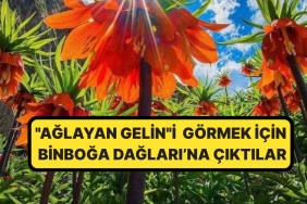isminin-oykusu-dikkat-cekti-aglayan-gelini-gormek-isteyenler-kuvvetli-bir-seyahate-cikti-omru-20-jgDaT58t.jpg