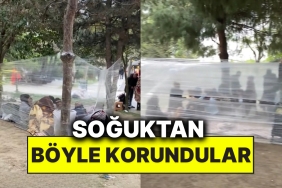 istanbullular-parklardaki-agaclari-strecleyerek-soguktan-korunmaya-calisti-P8U1CWCd.jpg
