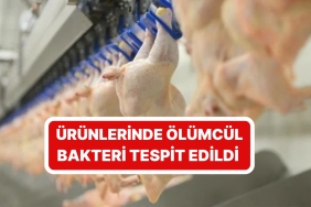turkiyenin-dev-tavuk-firmasiydi-bakanlik-ifsa-etti-eserleri-toplatiliyor-exKXQJIL.jpg