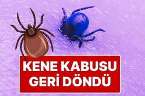 kene-kabusu-geri-dondu-sivasta-keneden-olenlerin-sayisi-2-oldu-4dREcc7S.jpg