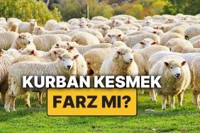 kurban-kesmek-farz-midir-kimler-kurban-kesmekle-yukumludur-kurallari-ve-dinen-karari-nedir-8VfJ3bCm.jpg