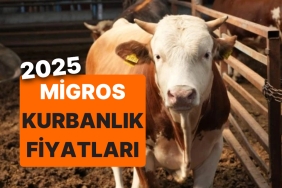 migros-kurbanlik-fiyatlari-ne-kadar-2025-migros-buyukbas-kucukbas-ve-bagis-kurbani-fiyatlari-OzGjv5iK.jpg