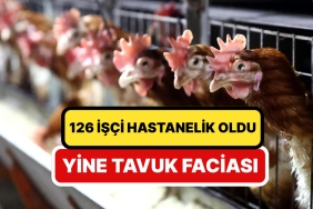 tekrar-tavuk-yeniden-zehirlenme-126-emekci-hastanelik-oldu-zMstEsi2.jpg