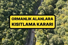 bu-haberi-okumadan-piknige-gitmeyin-istanbul-valiligi-acikladi-ormanlara-girisler-yasaklandi-j2RKX53U.jpg