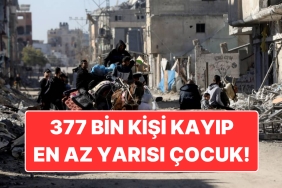 harvard-universitesinin-hazirladigi-rapor-israil-filistinde-377-bin-kisiyi-kaybetti-tjXMTxzO.jpg