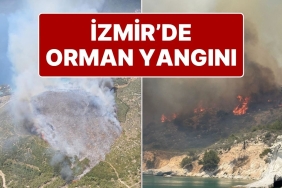 izmir-karaburunda-orman-yangini-karadan-ve-havadan-mudahale-ediliyor-WsD6jdpk.jpg
