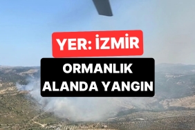 izmirde-ormanlik-alanda-yangin-cikti-sondurme-calismalari-suruyor-klcEznGx.jpg