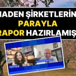 Nevşin Mengü’nün Yayınında ‘Zeytin Taşınır’ Demişti: Maden Şirketlerine Parayla Rapor Hazırlamış!