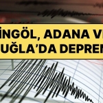 Türkiye’nin Farklı Yerlerinde Gece Boyunca Üç Başka Zelzele Oldu: Bingöl, Akdeniz ve Adana’da Sarsıntı
