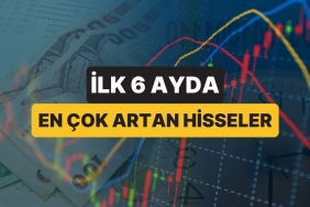 2025-yilinin-birinci-alti-ayinda-en-cok-artan-paylar-UK9heI1m.jpg