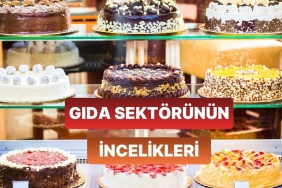 besin-dalinda-is-kuracak-olanlarin-dikkat-etmesi-gereken-10-sey-m8CkYb7e.jpg