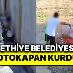 ceza-yolda-fethiye-belediyesi-fotokapanlarla-cop-kutusu-yerine-etrafa-cop-atan-sahislari-tespit-etti-lipDdjNq.jpg