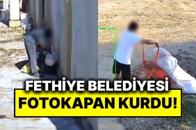 ceza-yolda-fethiye-belediyesi-fotokapanlarla-cop-kutusu-yerine-etrafa-cop-atan-sahislari-tespit-etti-lipDdjNq.jpg