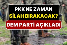 dem-parti-pkknin-silah-birakacagi-tarihi-acikladi-iQtr7mZs.jpg
