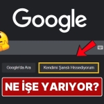 googleda-kendimi-sansli-hissediyorum-butonu-gercekte-ne-ise-yariyor-mazPB77K.jpg