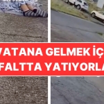 gurbetci-drami-toplumsal-medyada-gundem-oldu-her-sey-vatana-gidebilmek-icin-dXgW4v7F.jpg