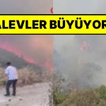 hatayda-cikan-orman-yangininda-meskenler-ziyan-gormeye-basladi-vatandaslar-siddetli-anlar-yasiyor-2vV5D4if.jpg