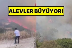 hatayda-cikan-orman-yangininda-meskenler-ziyan-gormeye-basladi-vatandaslar-siddetli-anlar-yasiyor-2vV5D4if.jpg