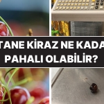 istanbulda-kilosunun-800-liraya-kadar-ciktigi-tez-edilmisti-1-tane-kirazin-fiyati-8-lira-7ZVZ3neg.jpg
