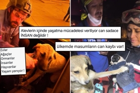 izmir-yaniyor-yangindan-kurtarilan-hayvanlar-aci-tabloyu-gozler-onune-seriyor-vIZYXTSS.jpg