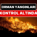 izmirdeki-orman-yanginlari-denetim-altina-alindi-bakan-ibrahim-yumakli-duyurdu-zNhGIwMA.jpg