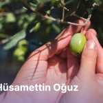 kaz-daglarinin-zeytin-kissasi-zeytinimedokunma-tcakvla3.jpg