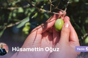 kaz-daglarinin-zeytin-kissasi-zeytinimedokunma-tcakvla3.jpg