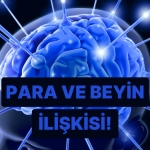 parayla-ilgilenirken-beyninin-hangi-bolgesi-calisiyor-JPwXvRM3.jpg