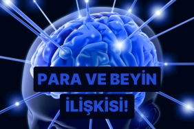 parayla-ilgilenirken-beyninin-hangi-bolgesi-calisiyor-JPwXvRM3.jpg