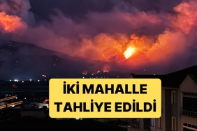 sakaryadaki-yangin-yerlesim-yerleri-ve-tarim-topraklarina-sicradi-gpKyRVkK.jpg