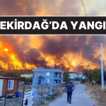 tekirdag-sarkoyde-yangin-alevler-yerlesim-yerlerine-ulasti-JdnzKKZO.jpg