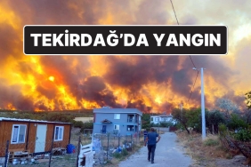 tekirdag-sarkoyde-yangin-alevler-yerlesim-yerlerine-ulasti-JdnzKKZO.jpg