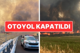 tekirdagdaki-yangin-canakkaleye-sicramisti-malkara-canakkale-otoyolunun-bir-kismi-kapatildi-UgM1X82f.jpg