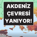 akdeniz-etrafinda-tehlike-buyuk-turkiyede-orman-yanginlari-icin-en-riskli-bolgeler-belirli-oldu-ejbQ6cdG.jpg