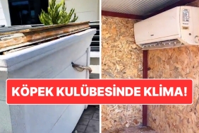 asirici-sicaklarda-kopek-dostunu-unutmadi-antalyada-kopek-kulubesine-klima-takildi-eVdaf98V.jpg