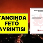bir-kisi-gozaltina-alindi-bursadaki-yanginlara-sorusturma-baslatildi-valilik-feto-detayini-acikladi-uHtheJKx.jpg