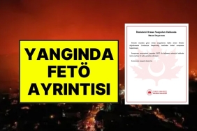 bir-kisi-gozaltina-alindi-bursadaki-yanginlara-sorusturma-baslatildi-valilik-feto-detayini-acikladi-uHtheJKx.jpg