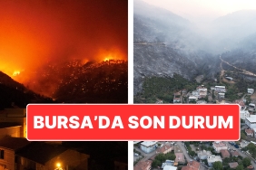 bursada-orman-yangini-yanginin-aci-boyutu-dun-agarinca-ortaya-cikti-2sec4lc1.jpg