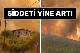 bursadaki-orman-yangini-alevler-yerlesim-yerlerine-bir-defa-daha-yaklasti-4IpPCaaL.jpg
