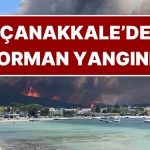 canakkalede-orman-yangini-gokyuzu-ve-deniz-kara-dumanlarla-kaplandi-validen-korkutan-aciklama-geldi-BCAHgTvR.jpg