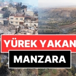 canakkaledeki-orman-yangininin-boyutu-gun-agarinca-ortaya-cikti-yaWk1X1I.jpg