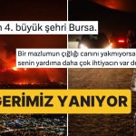 cigeri-yanan-vatandaslarimizdan-gunlerdir-suren-yanginlara-reaksiyonlar-dinmiyor-sWlAUqBI.jpg