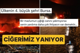 cigeri-yanan-vatandaslarimizdan-gunlerdir-suren-yanginlara-reaksiyonlar-dinmiyor-sWlAUqBI.jpg