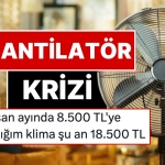 cok-sicaklar-rekor-kirdi-vantilator-fiyatlarina-bir-haftada-yuzde-90-artirim-argumani-P3k2pE9D.jpg