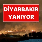 diyarbakirda-orman-yangini-imajlar-yanginin-boyutunu-gozler-onune-serdi-FqvnuWv3.jpg