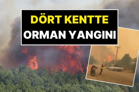dort-kentte-orman-yangini-yangindan-imgeler-yurekleri-agza-getirdi-cYZus5xd.jpg