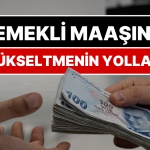 dusuk-emekli-maasini-yukseltmenin-yollari-ssk-ve-bag-kur-emeklisi-nasil-memur-emeklisi-olabilir-FpBAin43.jpg
