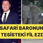 guney-afrikada-av-ve-safari-tesisi-sahibi-ceo-fil-saldirisina-ugrayarak-hayatini-kaybetti-We9vQ9tE.jpg